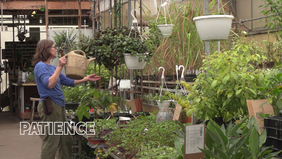 BensellGreenhouseCommercial.mp4